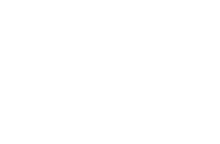 11月